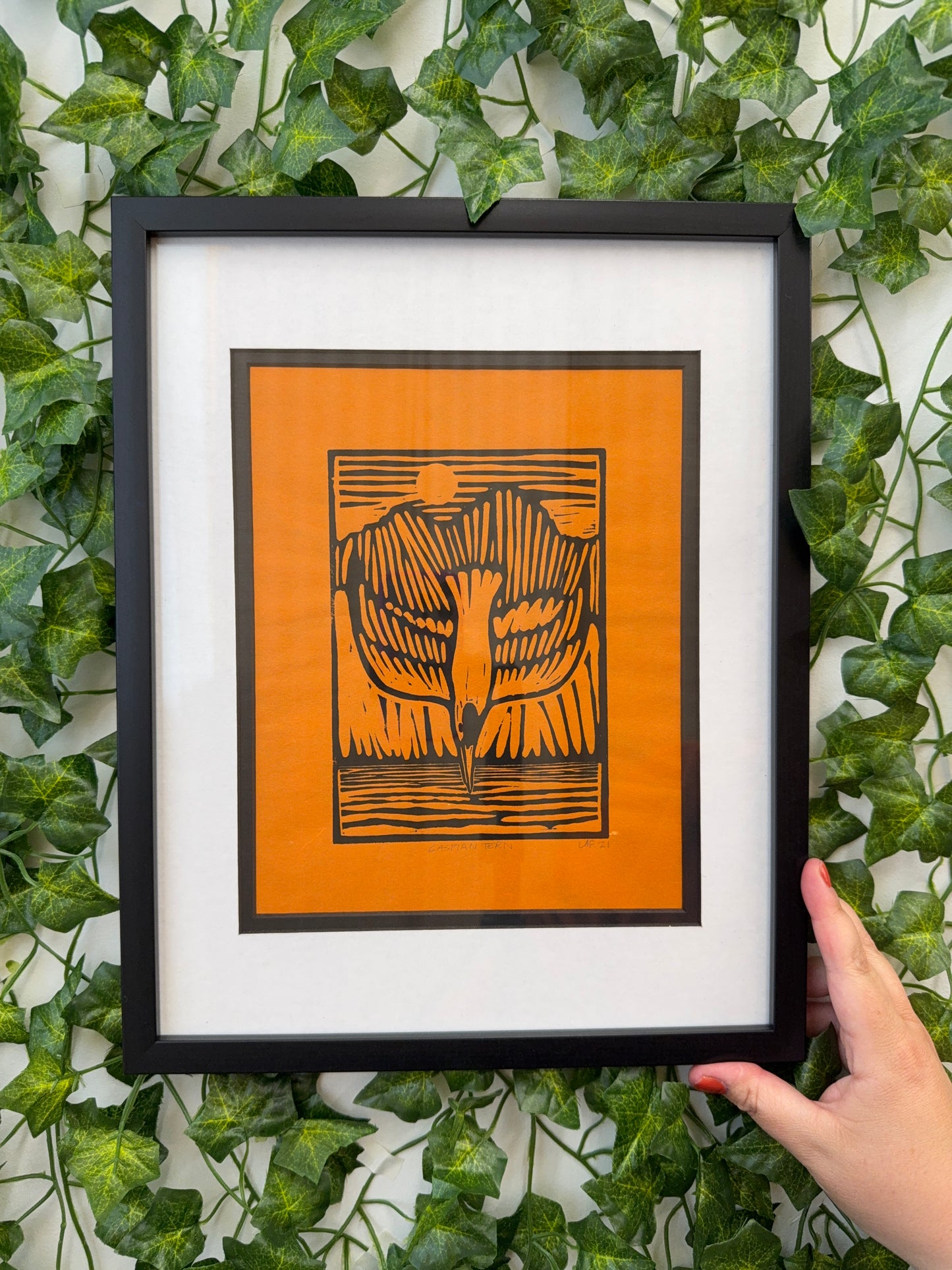 Caspian Tern Linocut Print