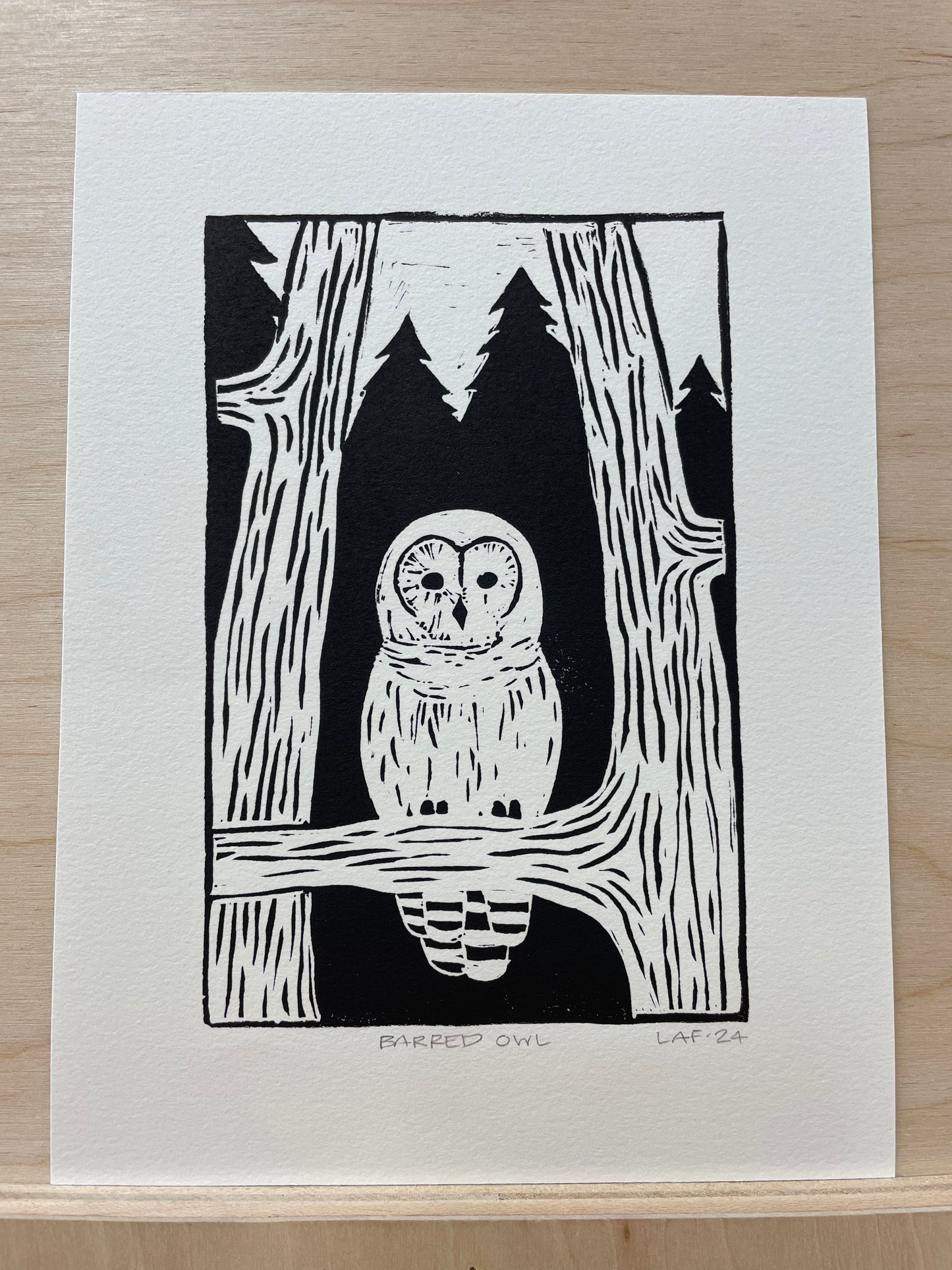 Barred Owl Linocut Print