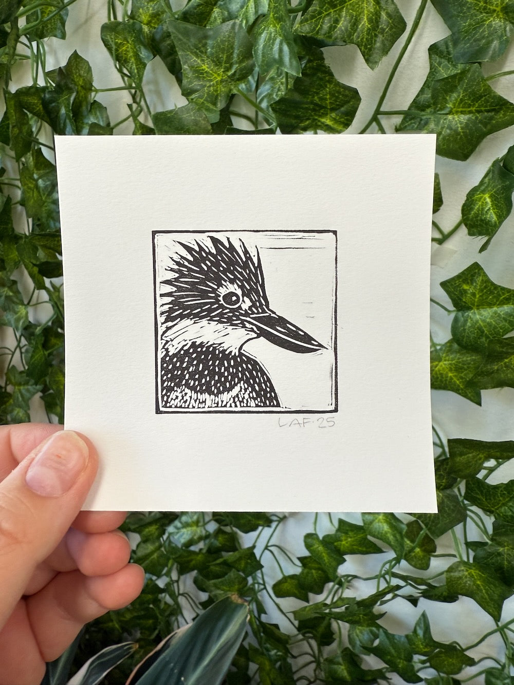 Ringed Kingfisher Linocut Print