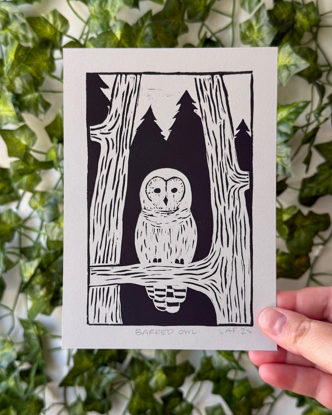 Barred Owl Linocut Print