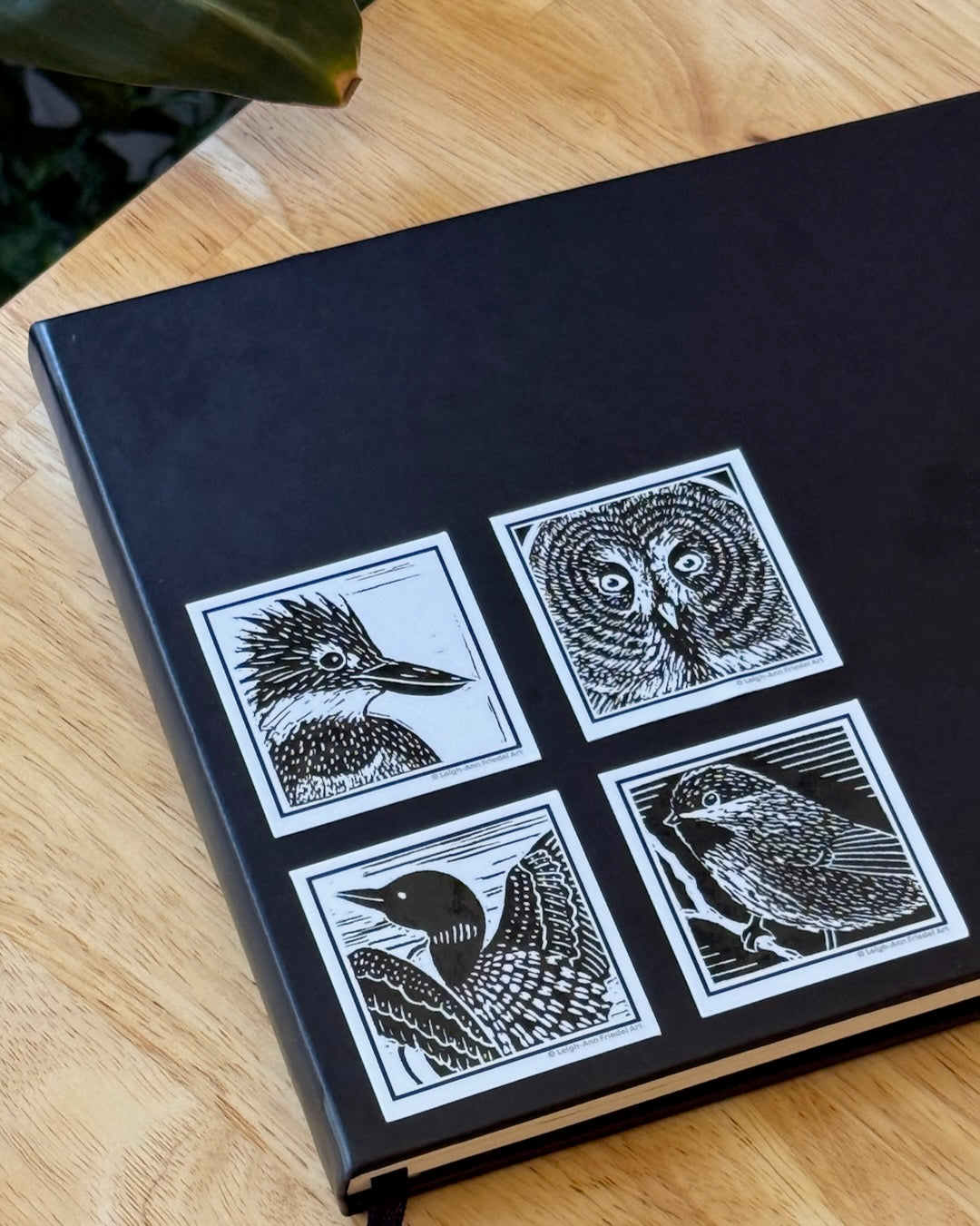 Boreal Chickadee Sticker
