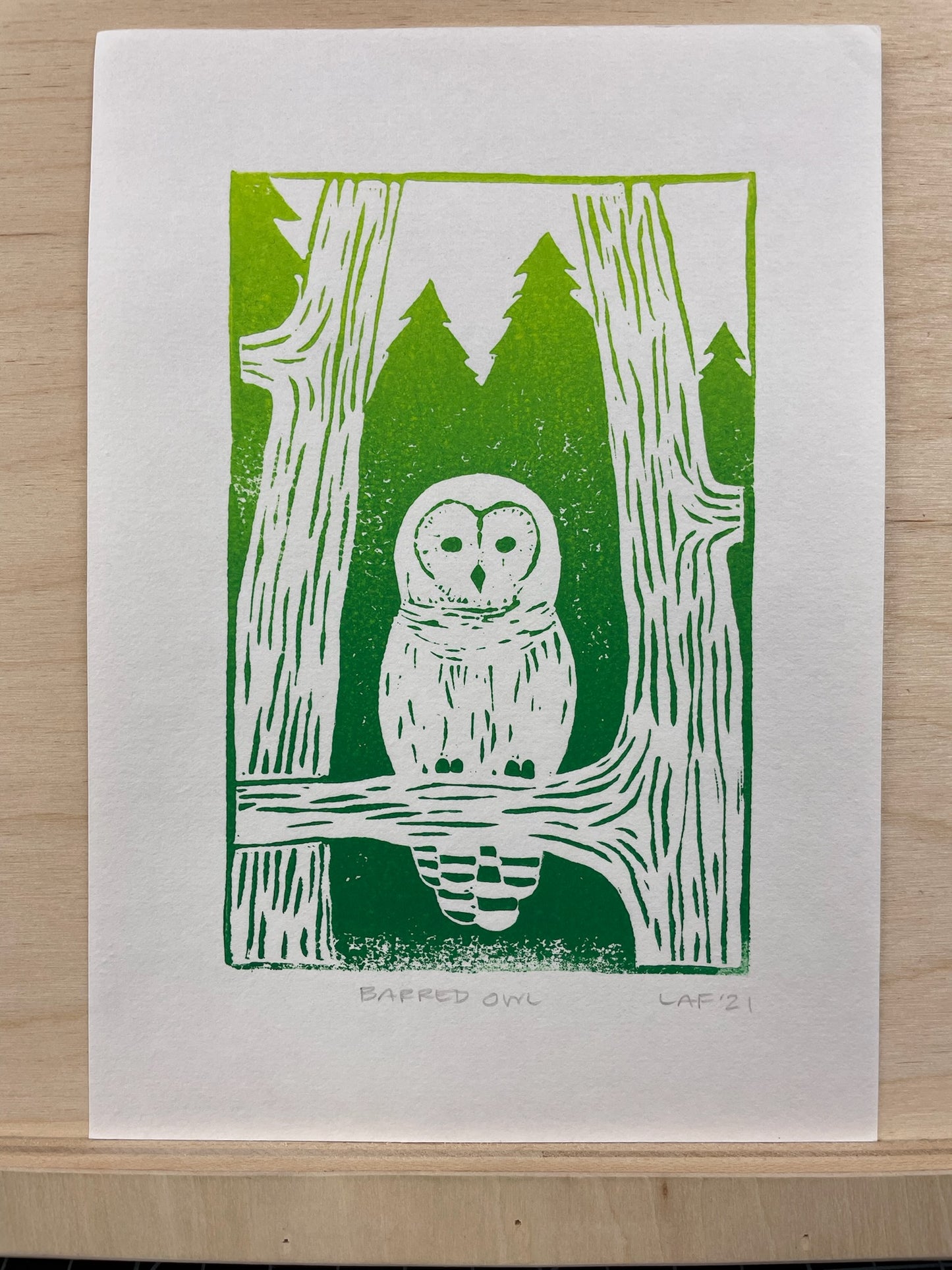 Barred Owl Linocut Print