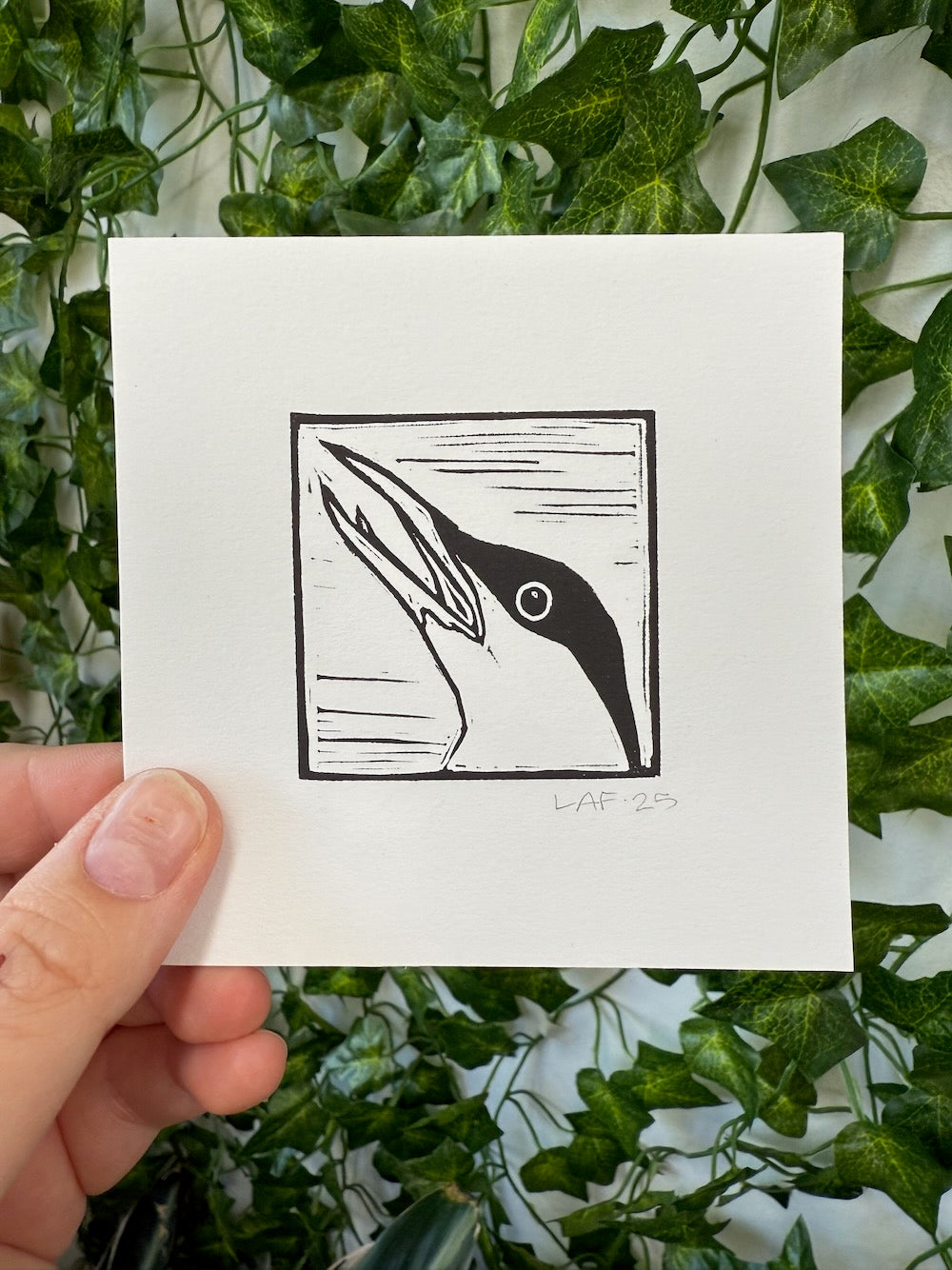 Arctic Tern Linocut Print