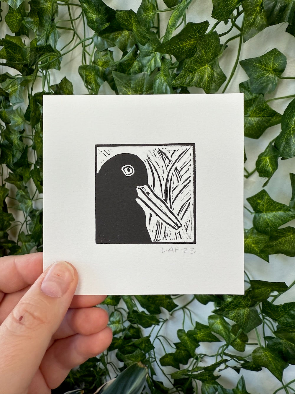 Black Oystercatcher Linocut Print