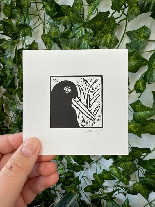 Black Oystercatcher Linocut Print