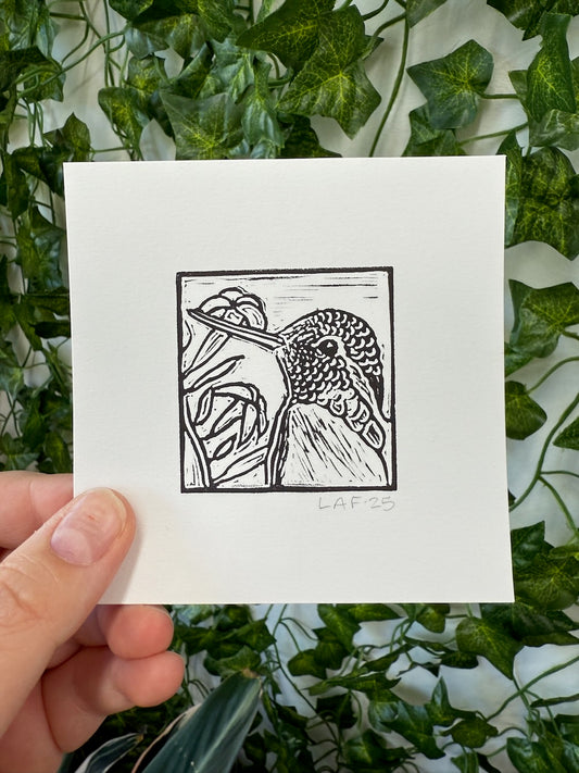 Costa's Hummingbird Linocut Print
