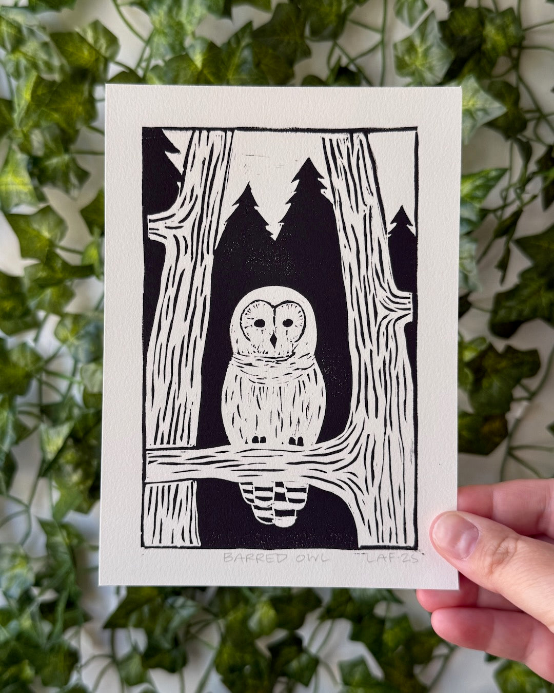 Barred Owl Linocut Print