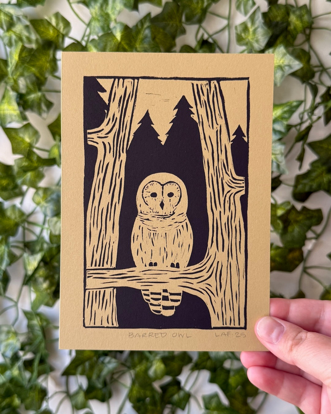 Barred Owl Linocut Print