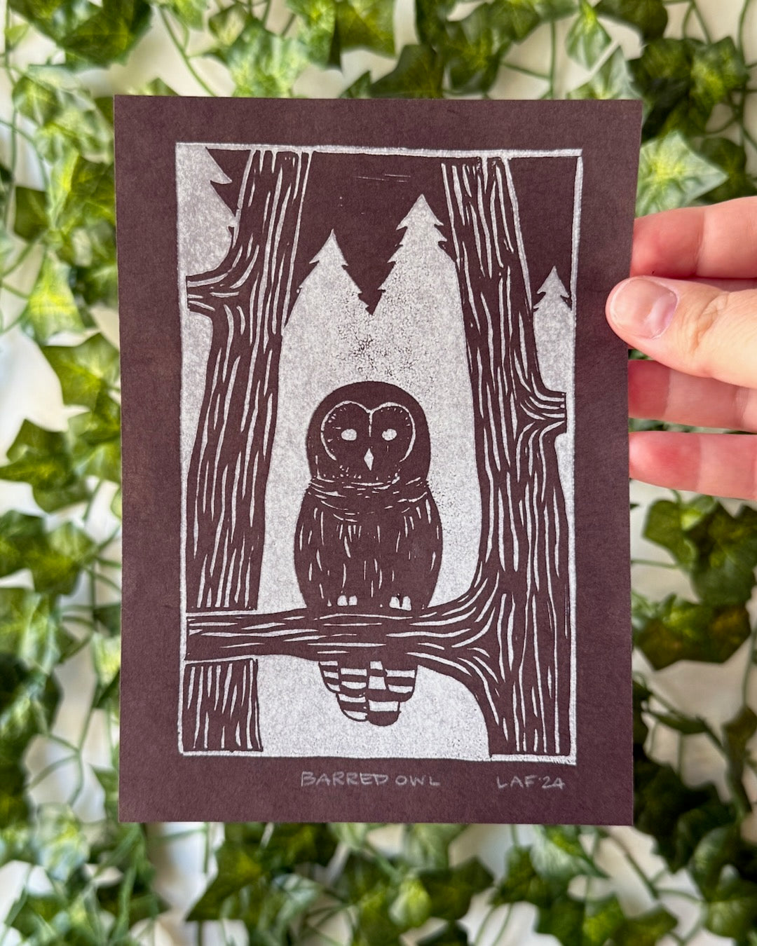 Barred Owl Linocut Print