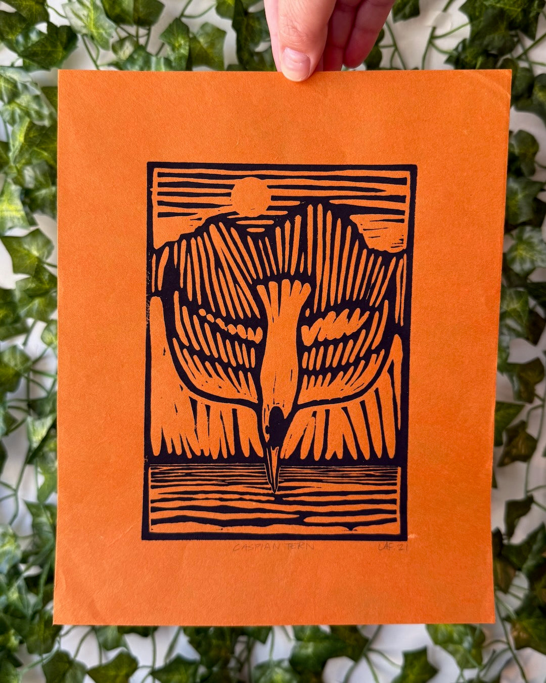 Caspian Tern Linocut Print