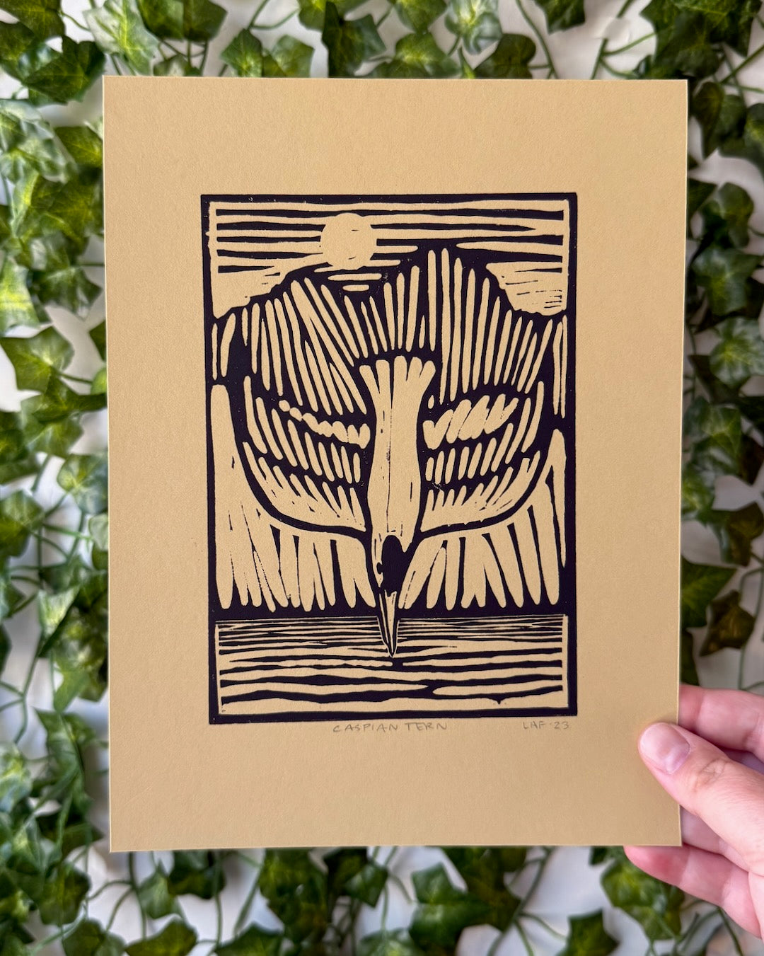 Caspian Tern Linocut Print