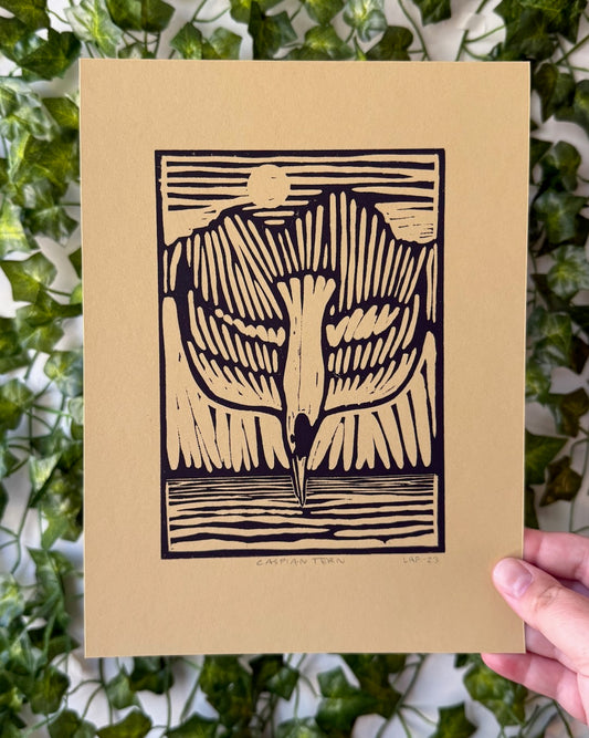 Caspian Tern Linocut Print