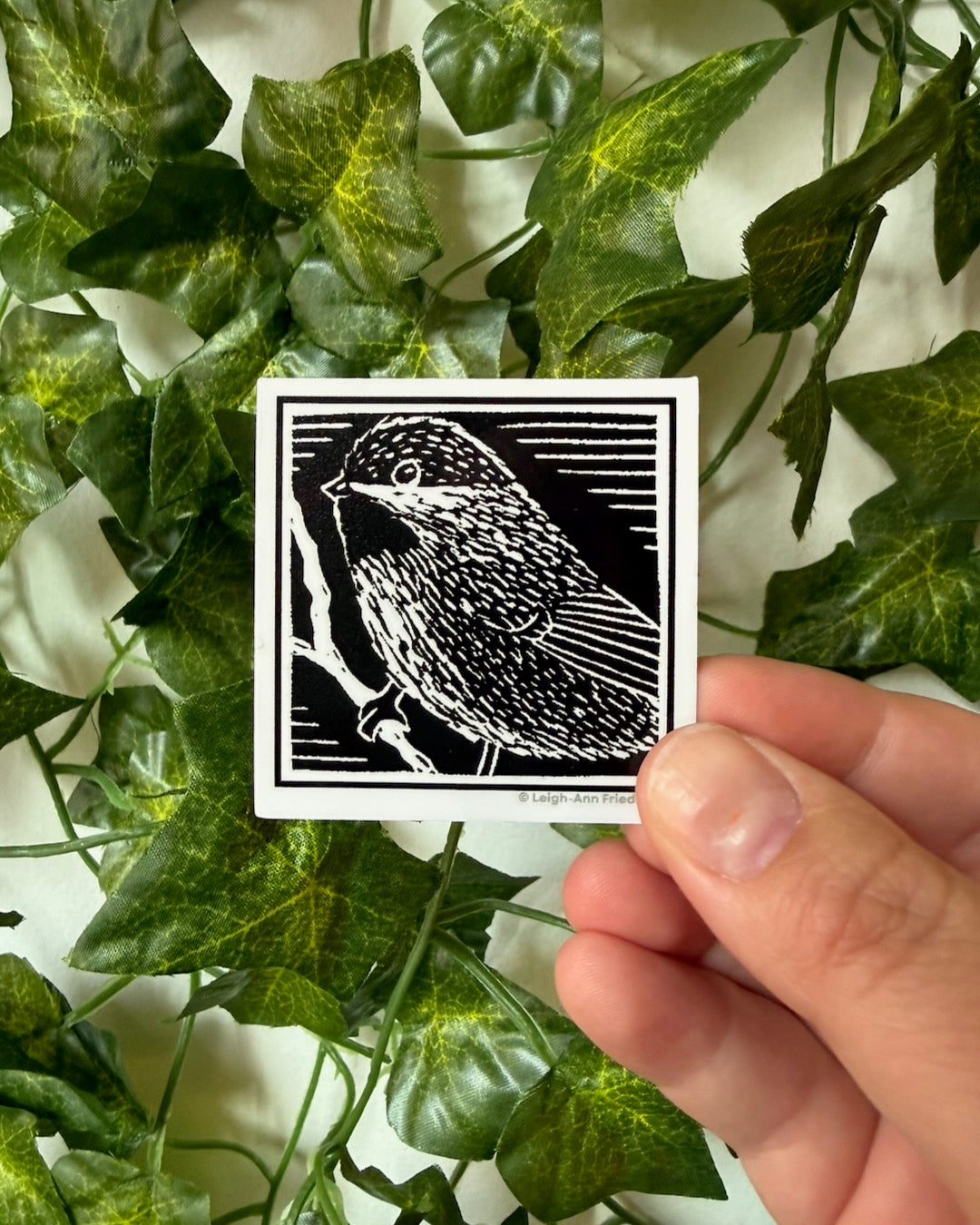 Boreal Chickadee Sticker