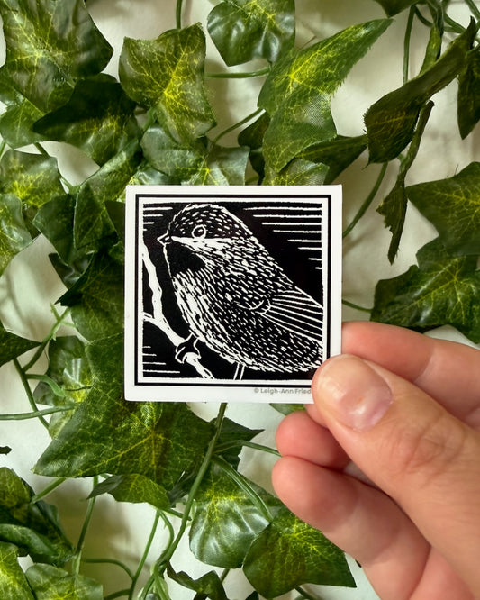 Boreal Chickadee Sticker
