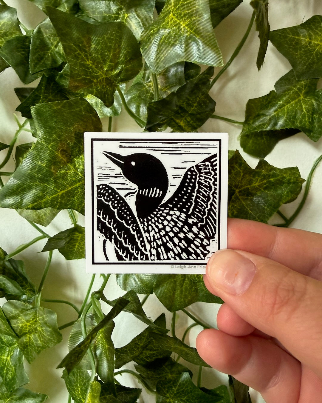 Common Loon Sticker