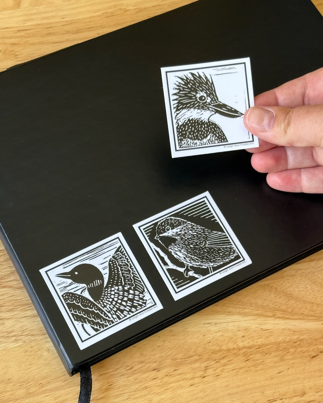 Common Loon Sticker